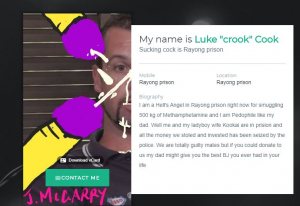 A website attacking Luke Cook and his wife allegedly set up by Shoebridge